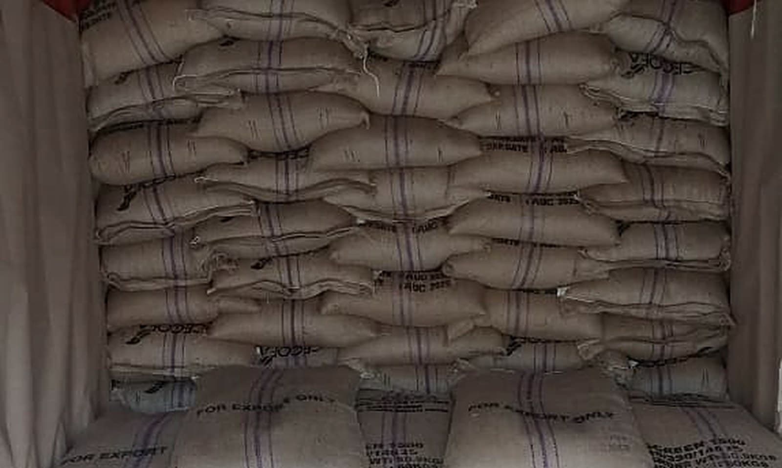 Coffee sacks loaded in shipping container — bulk export